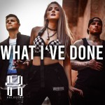 Buy What I've Done (CDS)