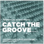 Buy Catch The Groove Vol. 4