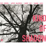 Buy Kind Of Shadow (With Artur Majewski, Barry Guy & Ramon Lopez)
