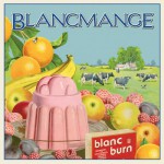 Buy Blanc Burn