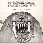 Buy Sweet Revenge (Vinyl)