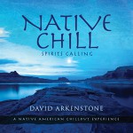 Buy Native Chill: Spirits Calling A Native American