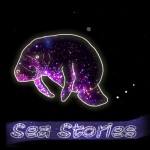Buy Sea Stories