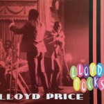 Buy Lloyd Rocks