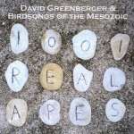 Buy 1001 Real Apes (With David Greenberger)