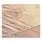 Buy Lake Deep Memory