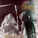 Buy The Beauty Of Pain
