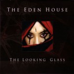 Buy The Looking Glass