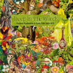Buy Deep In The Woods (Pastoral Psychedelia & Funky Folk 1968-1975) CD1