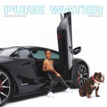 Buy Pure Water (CDS)