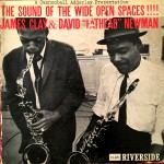 Buy The Sound Of The Wide Open Spaces (With David Newman) (Vinyl)