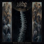 Buy Burn In Many Mirrors