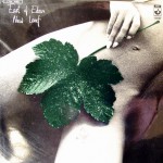Buy New Leaf (Vinyl)