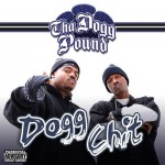 Buy Dogg Chit