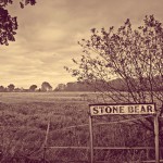 Buy Stone Bear