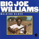 Buy Walking Blues (Vinyl)