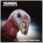 Buy Rock City 8 - The Turkey Strikes Back