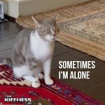 Buy Sometimes I'm Alone (Lonely Cat) (CDS)