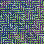 Buy Merriweather Post Pavilion