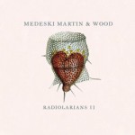 Buy Radiolarians II