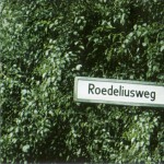 Buy Roedeliusweg