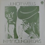 Buy In My Younger Days (Vinyl)