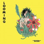 Buy Seed