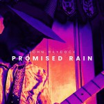 Buy Promised Rain