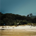 Buy Tidal River