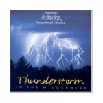 Buy Thunderstorm in the Wilderness