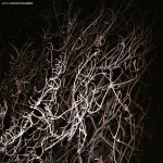 Buy Thermal Insulation