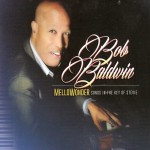 Buy Mellowonder - Songs In The Key Of Stevie