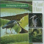 Buy Enchanting Everglades