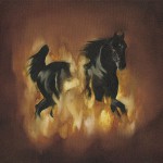Buy The Besnard Lakes Are The Dark Horse