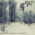 Buy The Snows They Melt The Soonest (CDS)