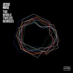 Buy The Whole Twelve Remixes