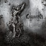 Buy Fragilium