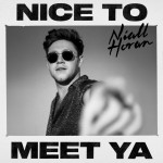 Buy Nice To Meet Ya (CDS)