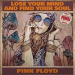 Purchase Pink Floyd Lose Your Mind And Find Your Soul