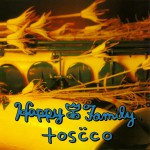 Buy Toscco