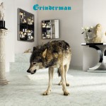 Buy Grinderman 2