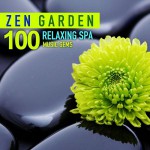 Buy Zen Garden 100 Relaxing Spa Music Gems For Wellness Massage Relaxation And Serenity CD1