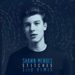 Buy Stitches (Seeb Remix) (CDS)