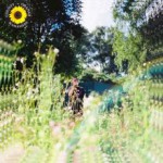 Buy Sunflower (CDS)