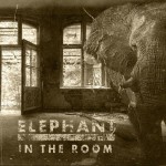 Buy Elephant In The Room
