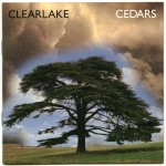 Buy Cedars