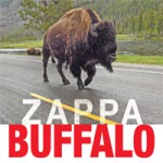 Buy Buffalo CD1