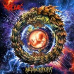 Buy Metamorphosis