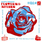 Buy Presenta Flowering Inferno