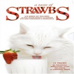 Buy A Taste Of Strawbs CD4